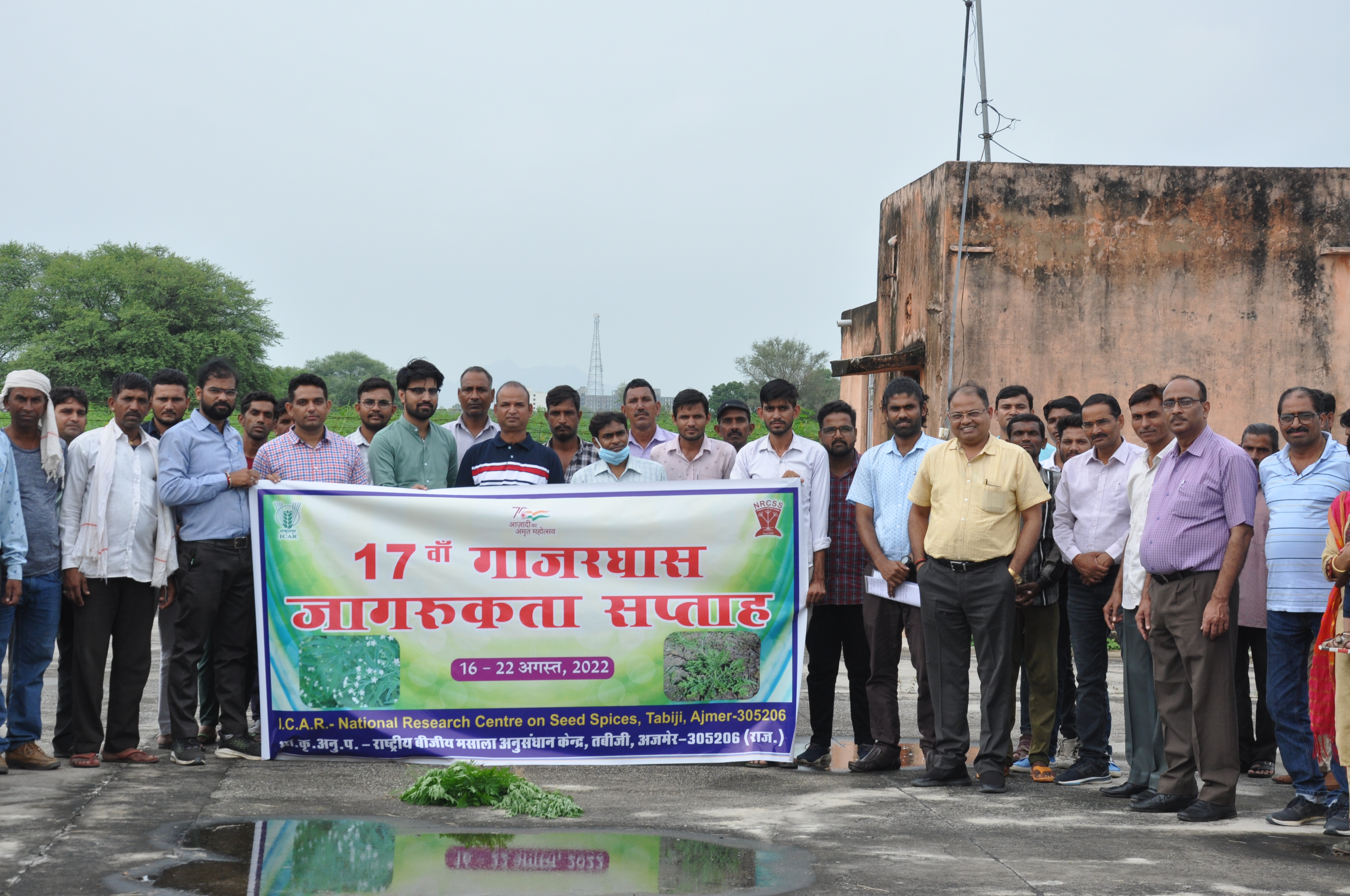Parthenium Awareness Week