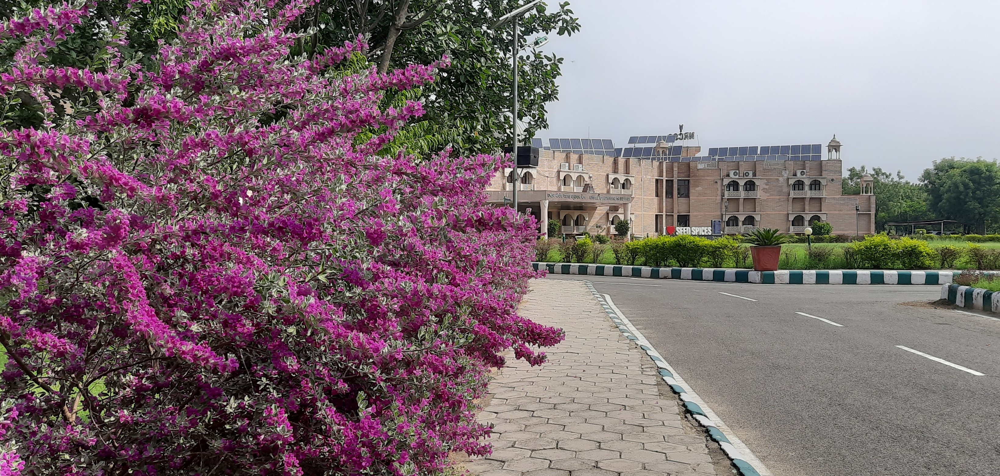 Mansoon vibes